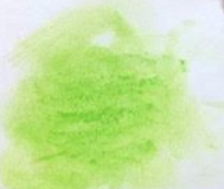Νο. 205 - ξηρό παστέλ l'ecu Sennelier Apple green